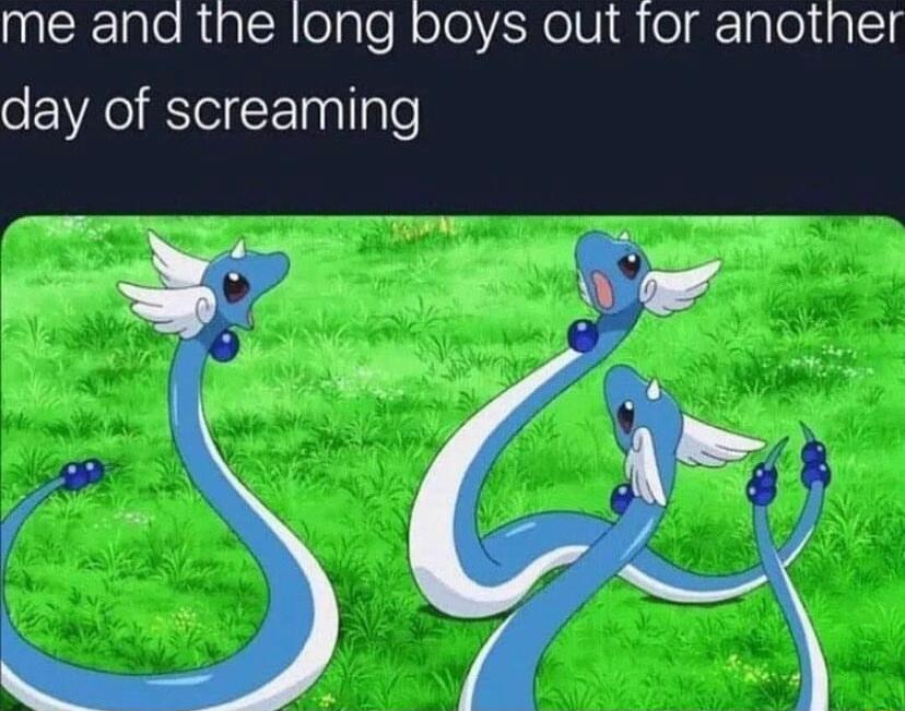 me and the long boys out for another day of screaming