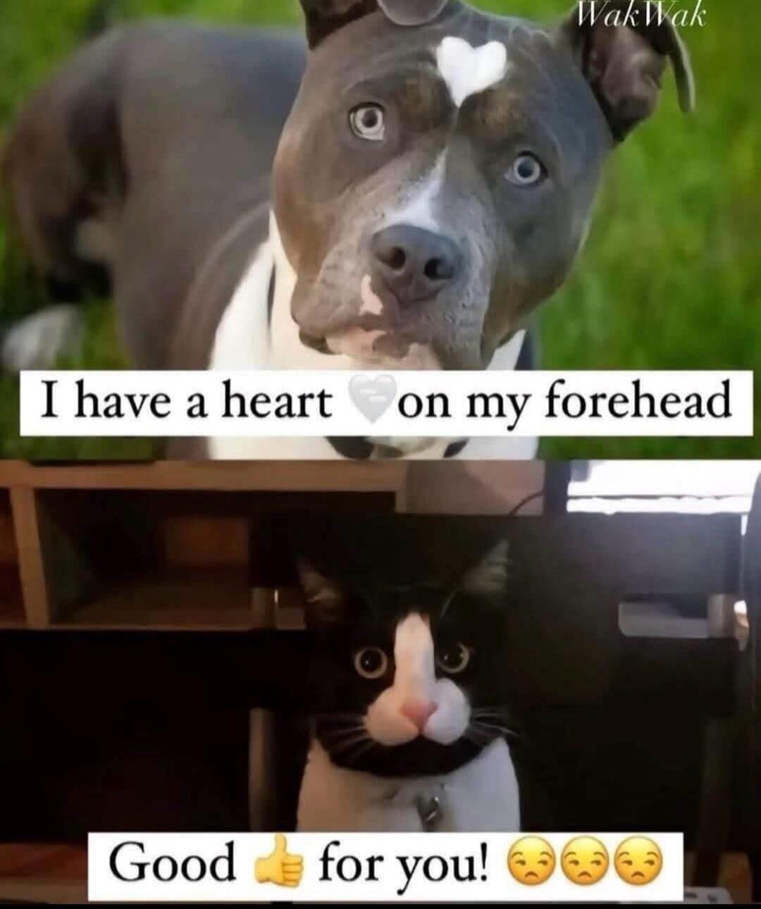 I have a heart on my forehead Good for you!