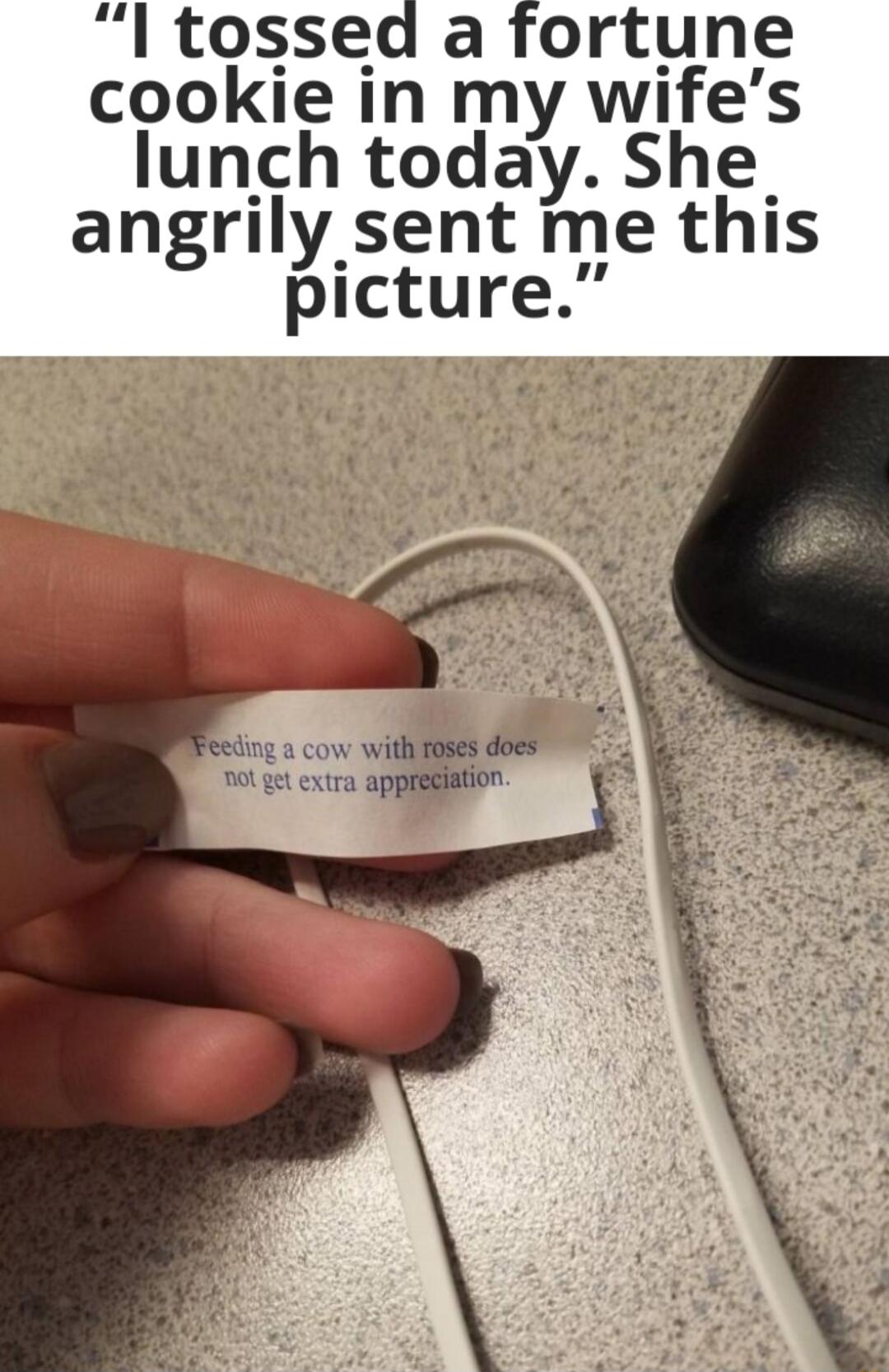 l tossed a fortune cookie in my wifes lunch today She angrily sent me this picture