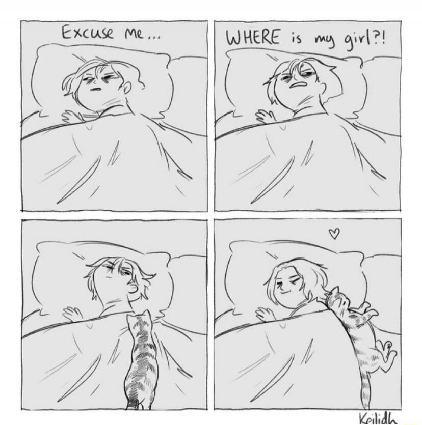 Excuse me...
WHERE is my girl?!