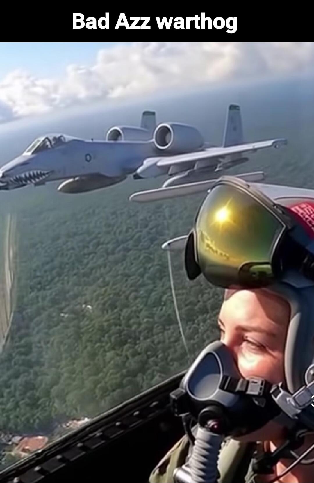 Bad Azz warthog