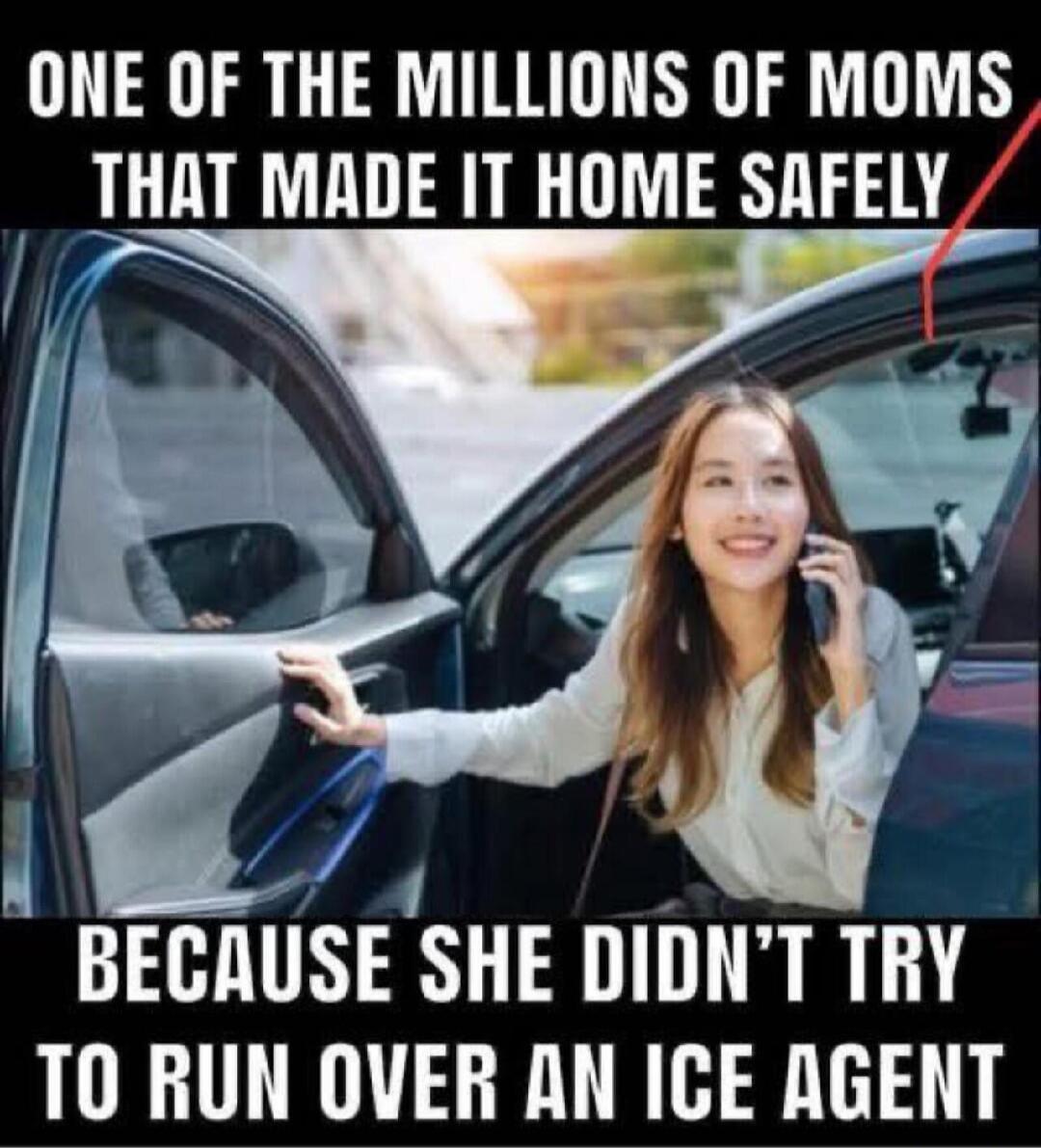 ONE OF THE MILLIONS OF MOMS THAT MADE IT HOME SAFELY BECAUSE SHE DIDN'T TRY TO RUN OVER AN ICE AGENT
