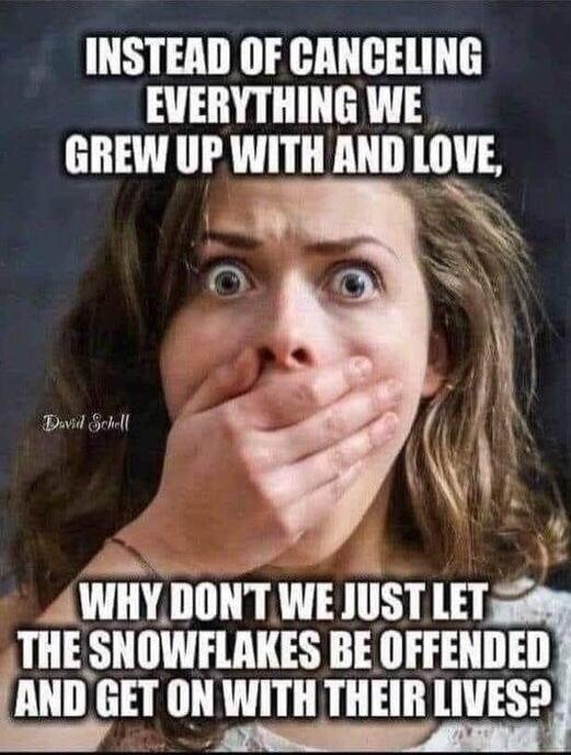 INSTEAD OF CANCELING EVERYTHING WE GREW UP WITH AND lll N WHY DONT WE JUST LET 0m THE SNOWFLAKES BE OFFENDED AND GET ON WITH THEIR LIVES2