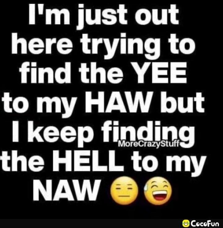 I'm just out here trying to find the YEE to my HAW but I keep finding the HELL to my NAW
