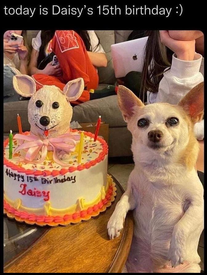 today is Daisys 15th birthday