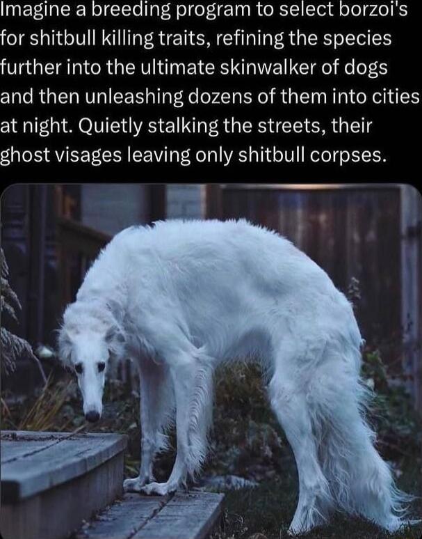 InEFE R Rl CETe aF Rolel g IR R T CToa gl oTel pde T S for shitbull killing traits refining the species further into the ultimate skinwalker of dogs and then unleashing dozens of them into cities at night Quietly stalking the streets their ghost visages leaving only shitbull corpses