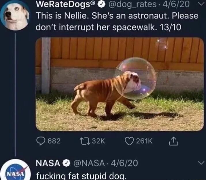 WeRateDogs dog_rates 4620 LSS CERS L ESERE S BN S LR dont interrupt her spacewalk 1310 XV 1332k Q2 NASA NASA 4620 v fucking fat stupid doa