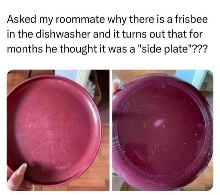 Asked my roommate why there is a frisbee in the dishwasher and it turns out that for months he thought it was a side plate