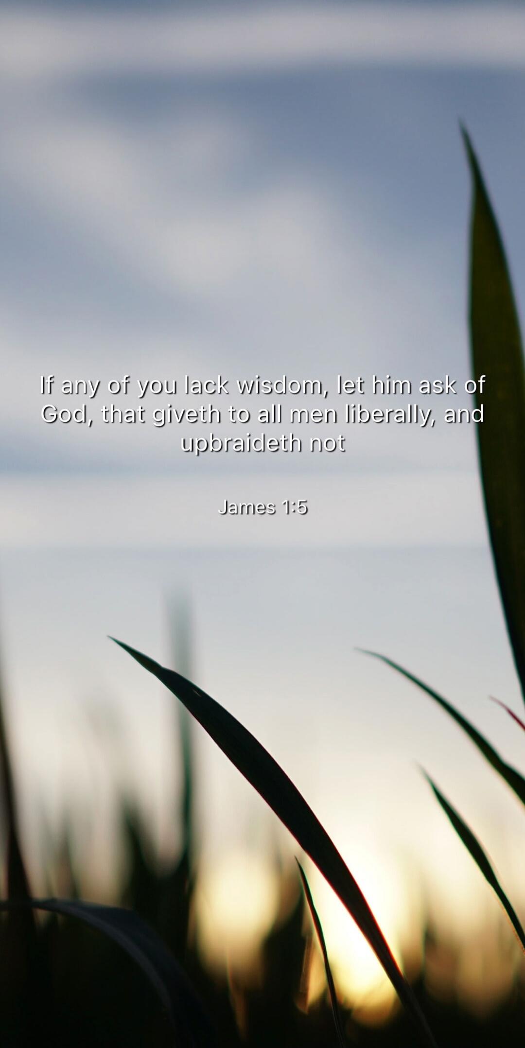 If any of you lack wisdom, let him ask of God, that giveth to all men liberally, and upbraideth not James 1:5