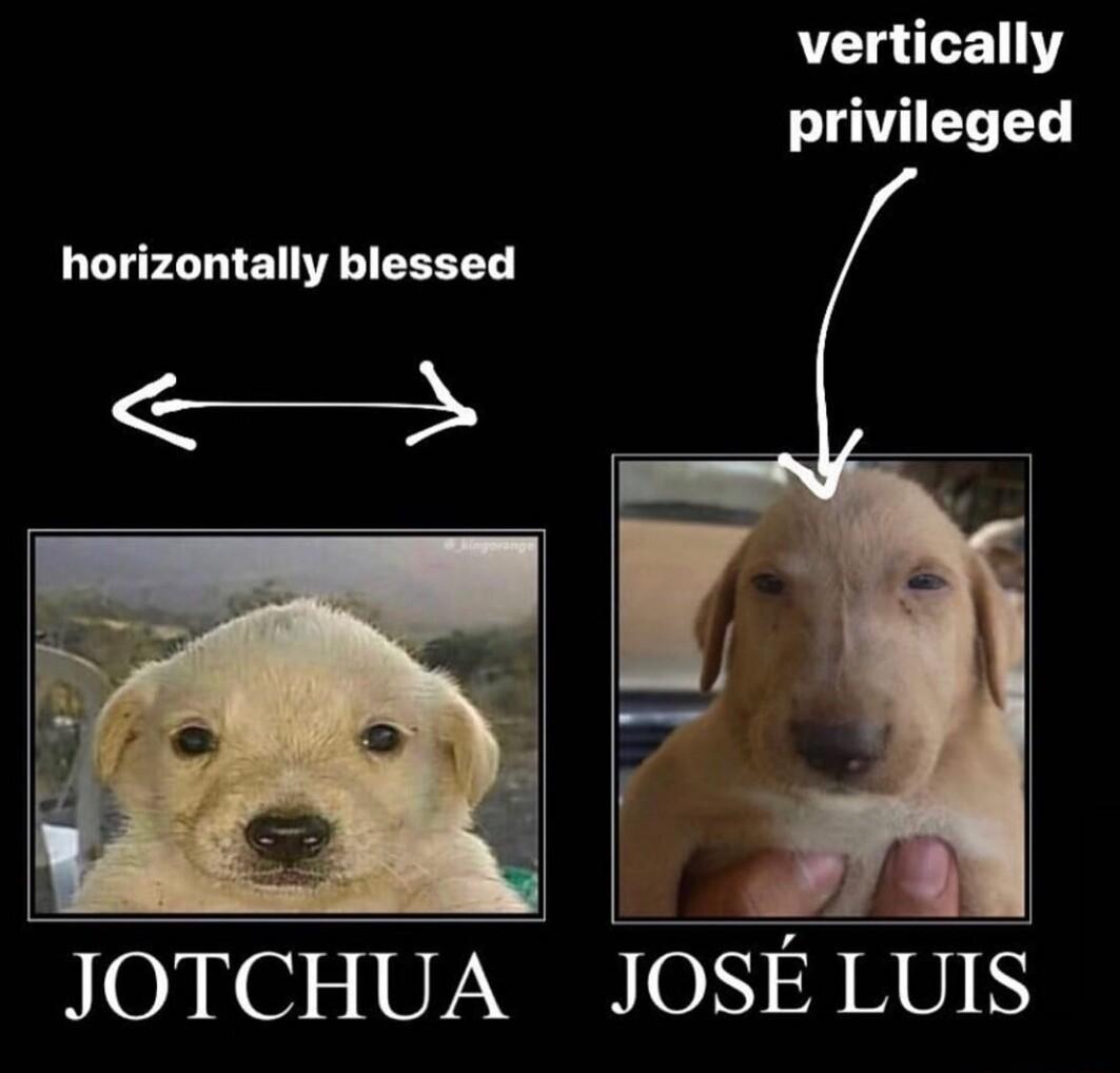 vertically privileged horizontally blessed S JOTCHUA JOSE LUIS