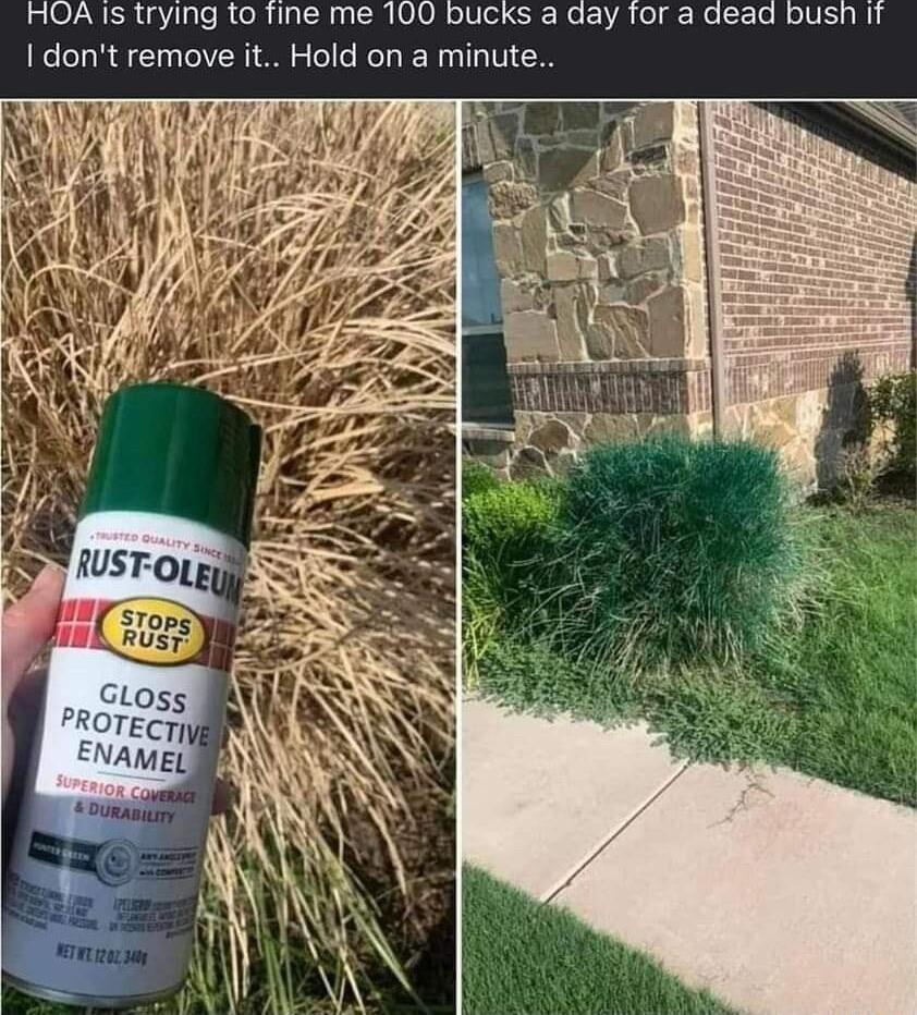 HOA Is trying to fine me 100 bucks a day for a dead bush It I dont remove it Hold on a minute