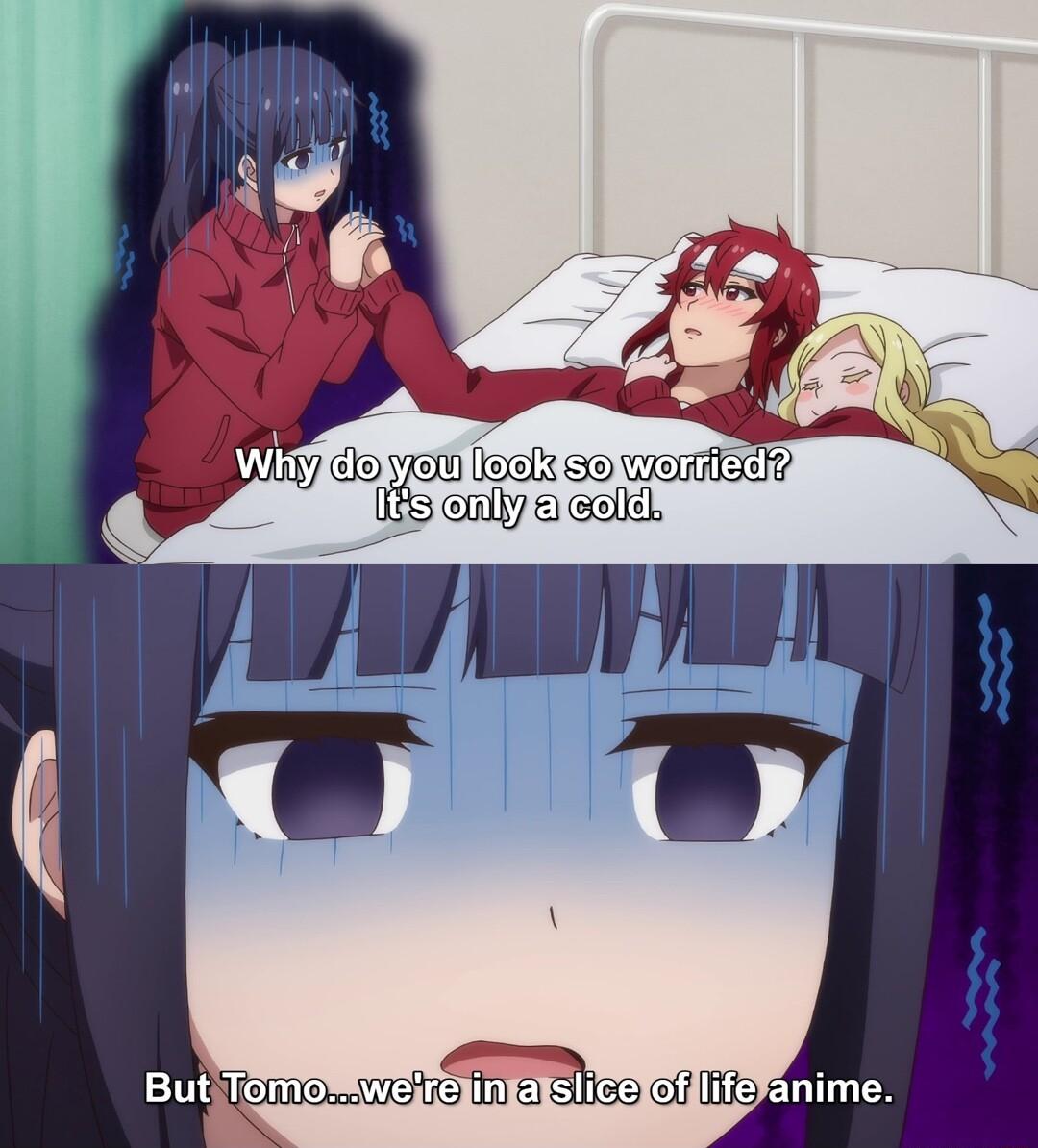 Sweirelinfalsiiceloflifefanime