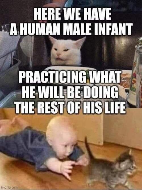 HERE WE HAVE A HUMAN MALE INFANT PRACTICING WHAT HE WILL BE DOING THE REST OF HIS LIFE