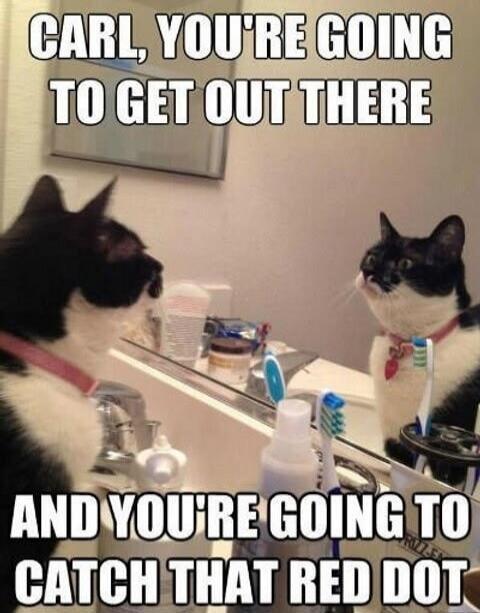 CARL, YOU'RE GOING TO GET OUT THERE AND YOU'RE GOING TO CATCH THAT RED DOT