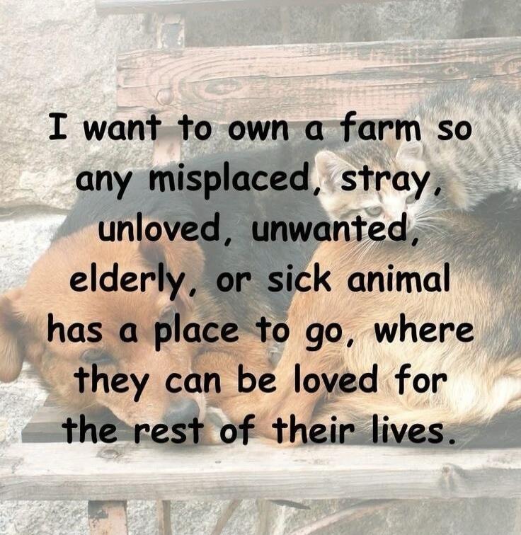I want to own a farm so any misplaced, stray, unloved, unwanted, elderly, or sick animal has a place to go, where they can be loved for the rest of their lives.