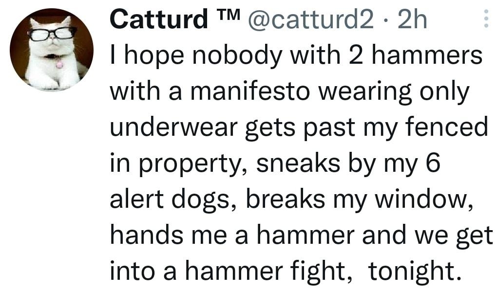 Catturd catturd2 2h hope nobody with 2 hammers with a manifesto wearing only underwear gets past my fenced in property sneaks by my 6 alert dogs breaks my window hands me a hammer and we get into a hammer fight tonight Q1res 15068 Q223K o