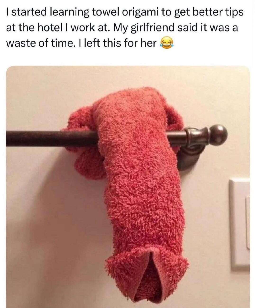 I started learning towel origami to get better tips at the hotel I work at. My girlfriend said it was a waste of time. I left this for her 😂