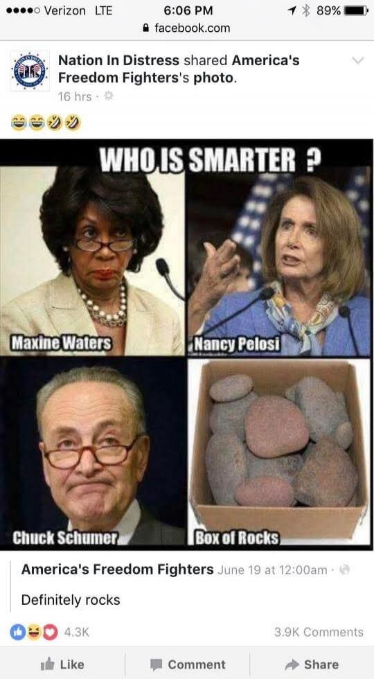 WHO IS SMARTER? Maxine Waters, Nancy Pelosi, Chuck Schumer, Box of Rocks. America's Freedom Fighters: Definitely rocks.