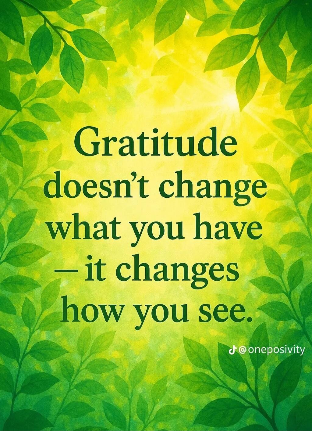 Gratitude doesn't change what you have — it changes how you see.