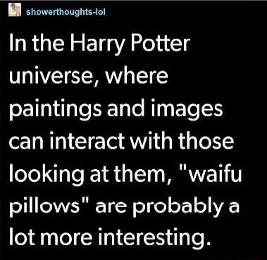 B snowerthoughts iol In the Harry Potter universe where paintings and images can interact with those looking at them waifu pillows are probably a lot more interesting