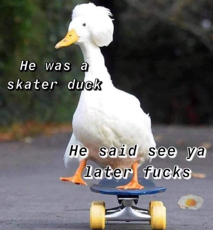 He was a skater duck He said see ya later fucks