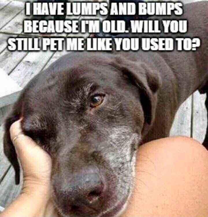 1 HAVE lllIlIS UL T S IIEGIISE G TR ySTILLPET IIE IIlllll USED TO2 E