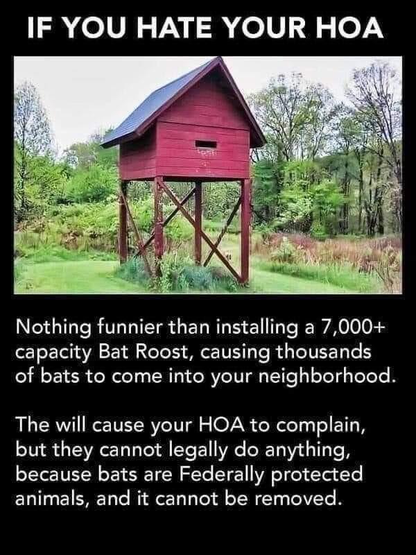 12 olVA 0V 9 0 Nothing funnier than installing a 7000 capacity Bat Roost causing thousands of bats to come into your neighborhood The will cause your HOA to complain but they cannot legally do anything because bats are Federally protected animals and it cannot be removed