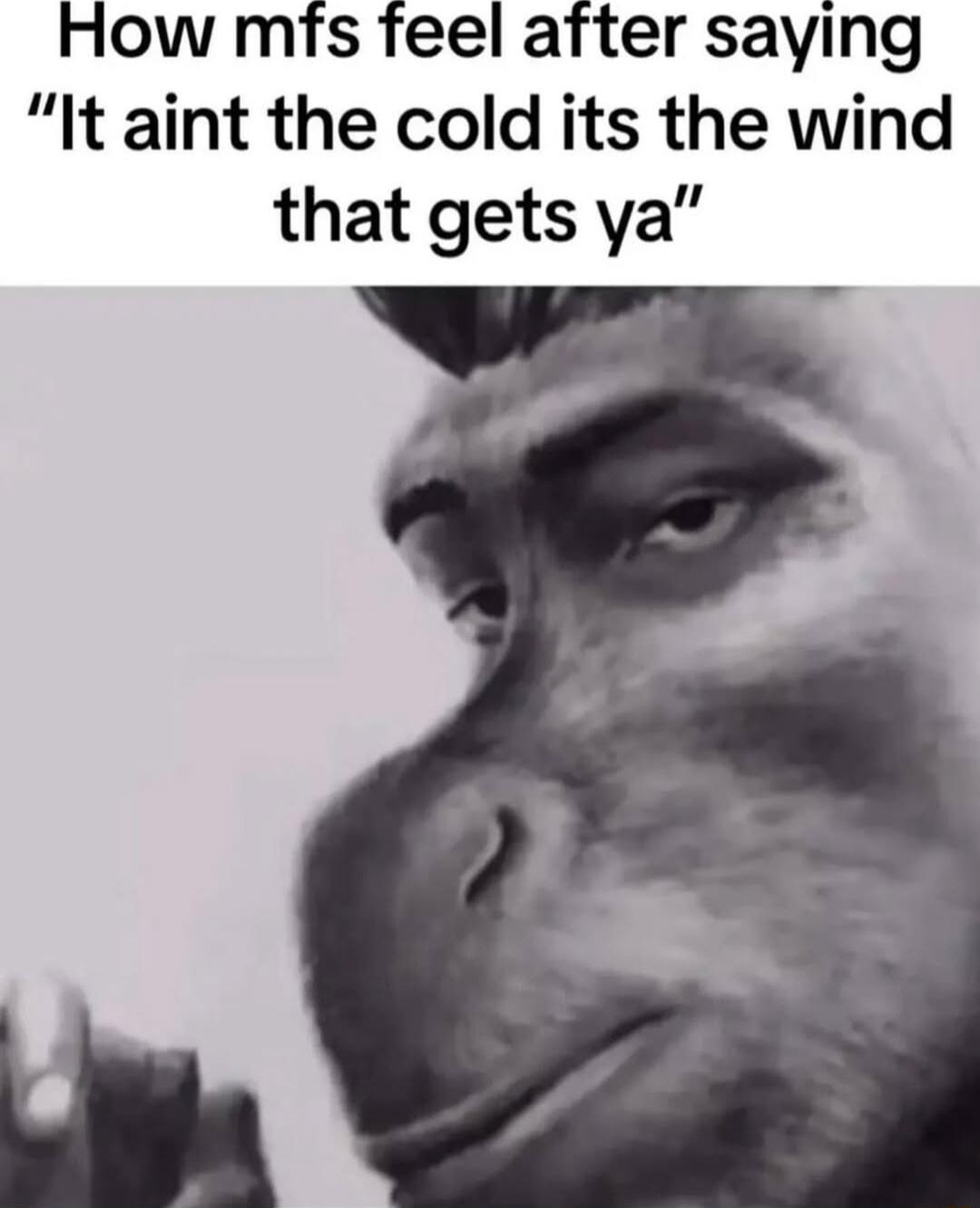 How mfs feel atter saying It aint the cold its the wind that gets ya Ll