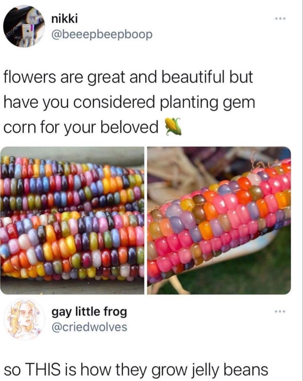 nikki 21 beeepbeepboop flowers are great and beautiful but have you considered planting gem corn for your beloved gay little frog criedwolves so THIS is how they grow jelly beans