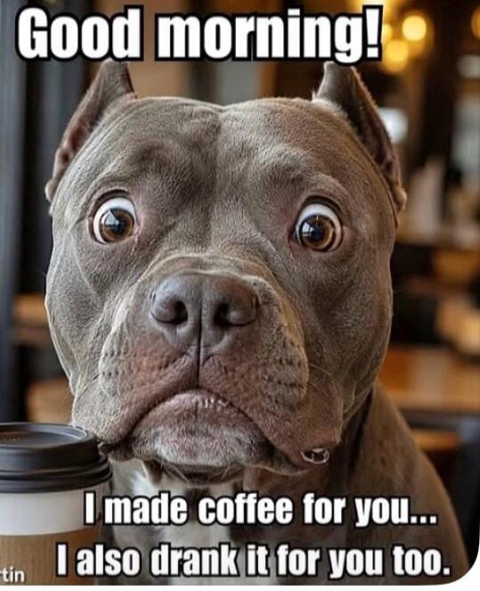 Good morning! I made coffee for you... I also drank it for you too.