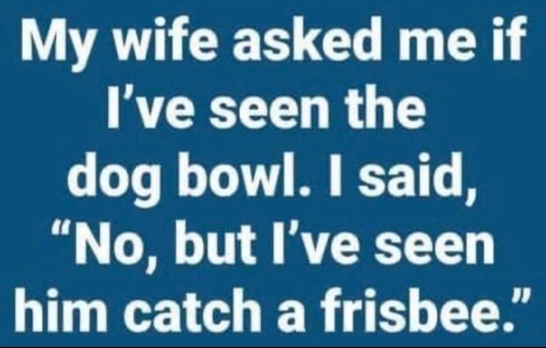 My wife asked me if I've seen the dog bowl. I said, 