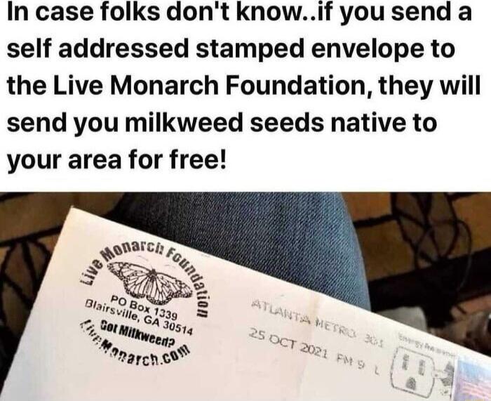 In case folks dont knowif you send a self addressed stamped envelope to the Live Monarch Foundation they will send you milkweed seeds native to your area for free