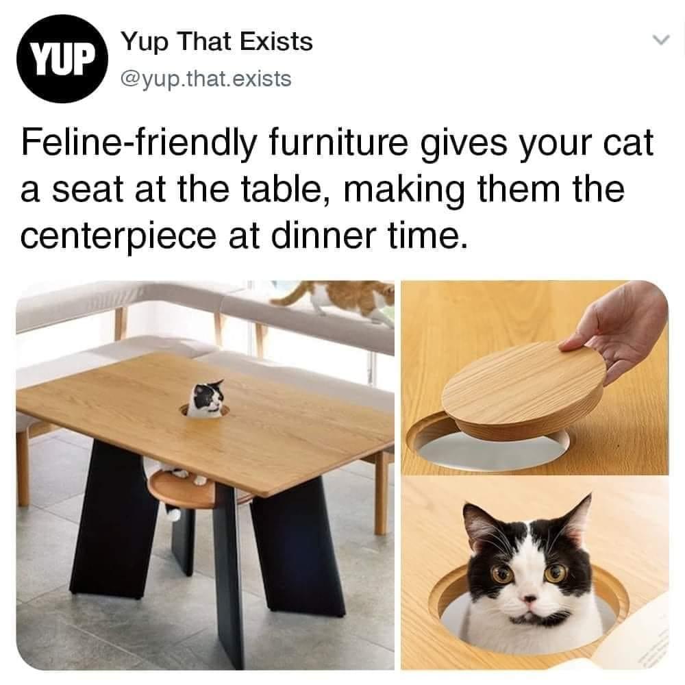 Yup That Exists yupthatexists Feline friendly furniture gives your cat a seat at the table making them the centerpiece at dinner time