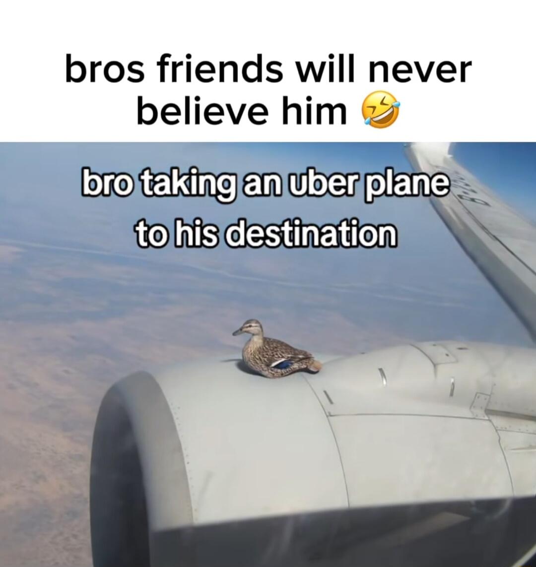bros friends will never believe him am fb