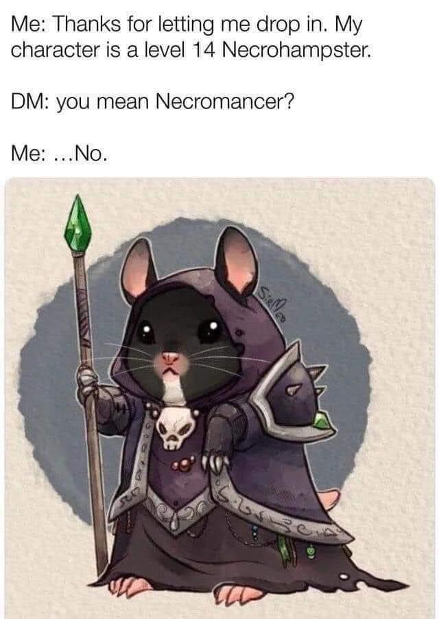 Me Thanks for letting me drop in My character is a level 14 Necrohampster DM you mean Necromancer Me No