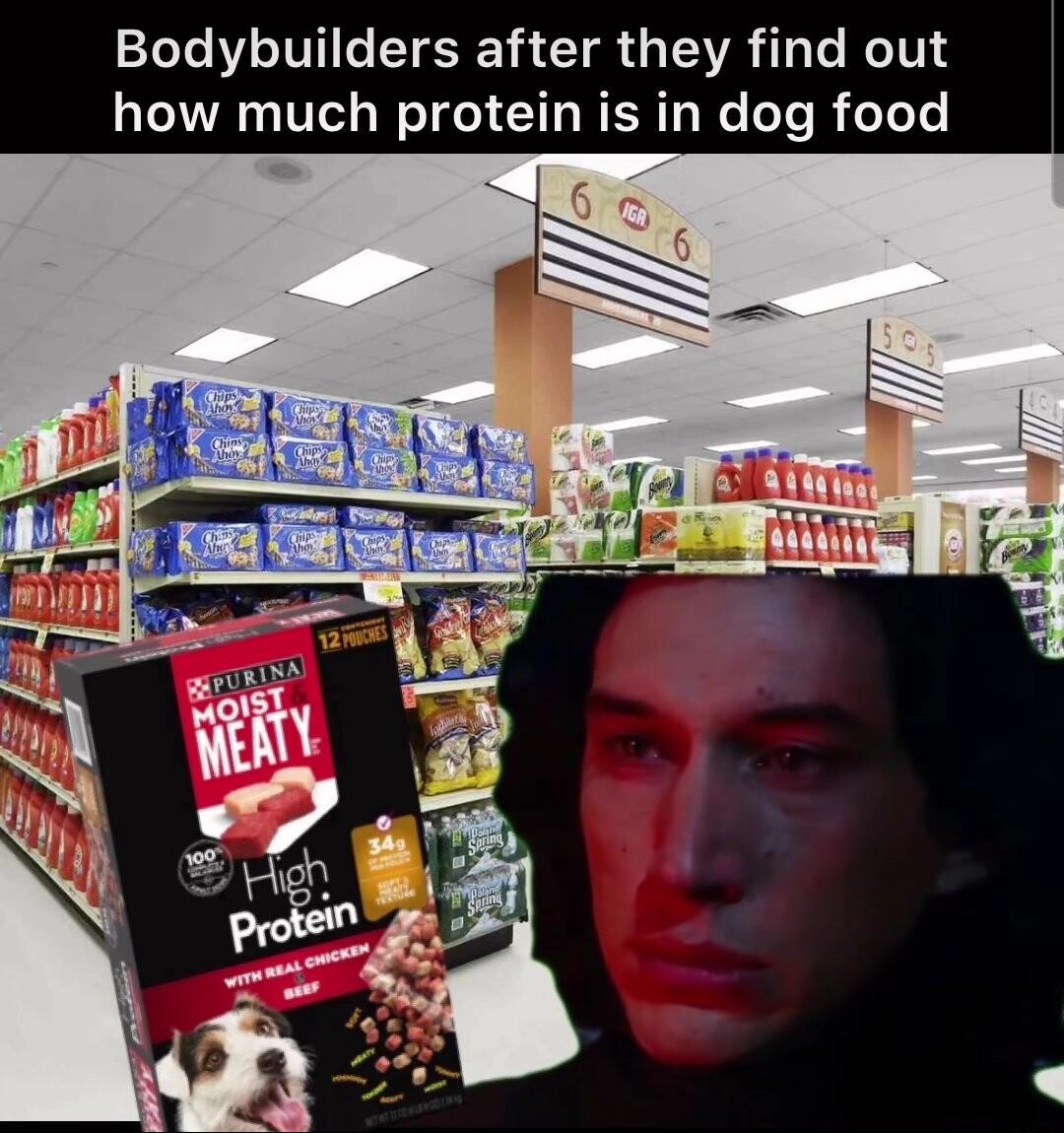 Bodybuilders after they find out how much protein is in dog food