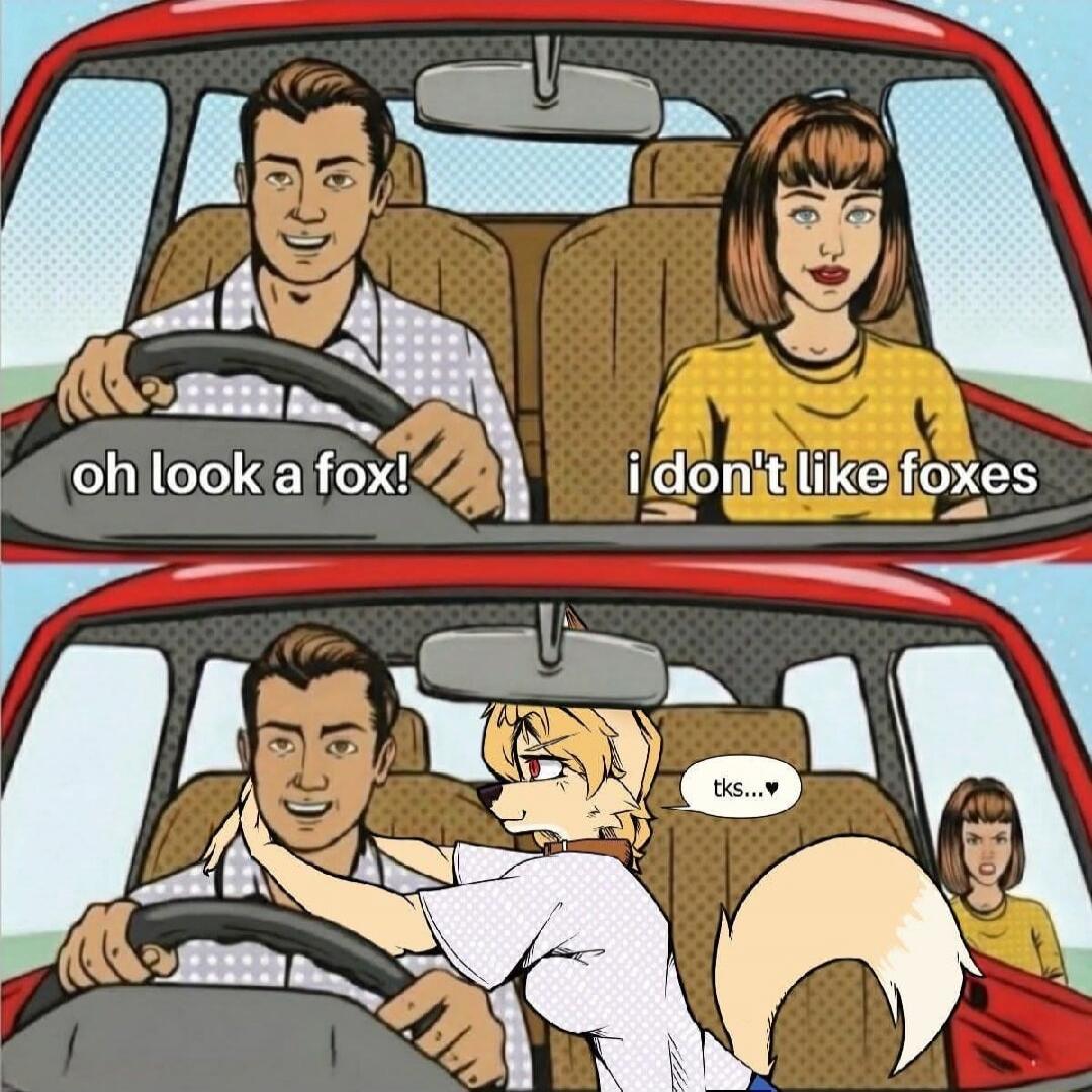 oh look a fox!
i don't like foxes
tks...