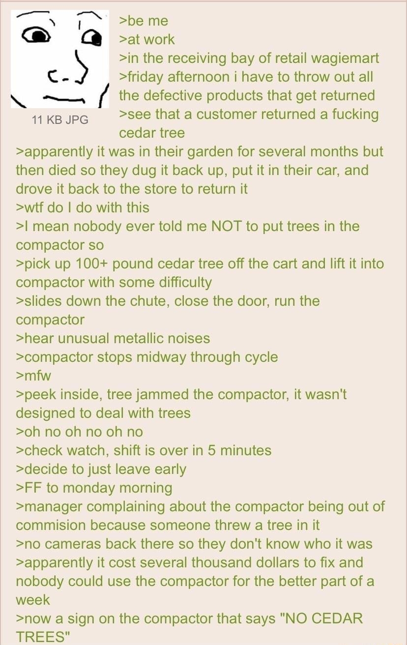Anonymous 082722Sa213301 No69986745 N 7 beme e in the receiving bay of retail wagiemart fiday afternoon i have to throw out all the defective products that get returned ikeup see thata customer retumned a fucking cedar tree apparently it was in their garden for several months but then died so they dug it back up putitin their car and drove it back to the store to return it wtf do do with this I me