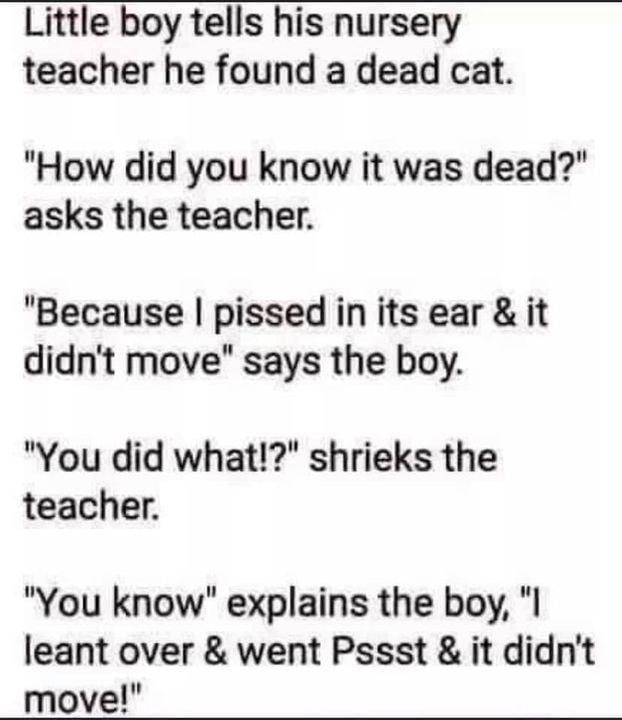 Little boy tells his nursery teacher he found a dead cat How did you know it was dead asks the teacher Because pissed in its ear it didnt move says the boy You did what shrieks the teacher You know explains the boy leant over went Pssst it didnt move