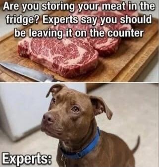 Are you storing your meat in the fridge? Experts say you should be leaving it on the counter. Experts: