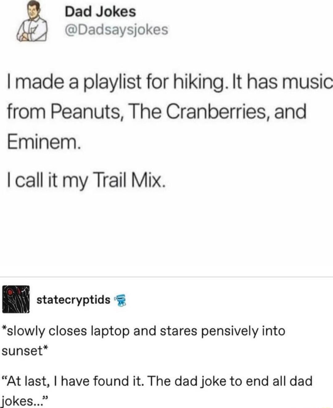 Dad Jokes Dadsaysjokes I made a playlist for hiking It has music from Peanuts The Cranberries and Eminem call it my Trail Mix J slowly closes laptop and stares pensively into sunset At last have found it The dad joke to end all dad jokes