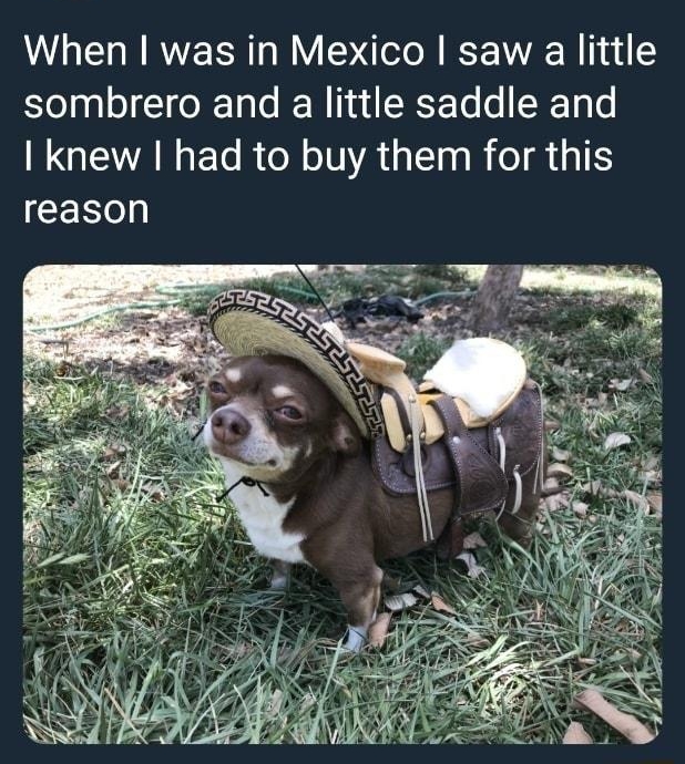 A Captain L Duck_Sparrow When was in Mexico saw a little sombrero and a little saddle and I knew had to buy them for this ICER