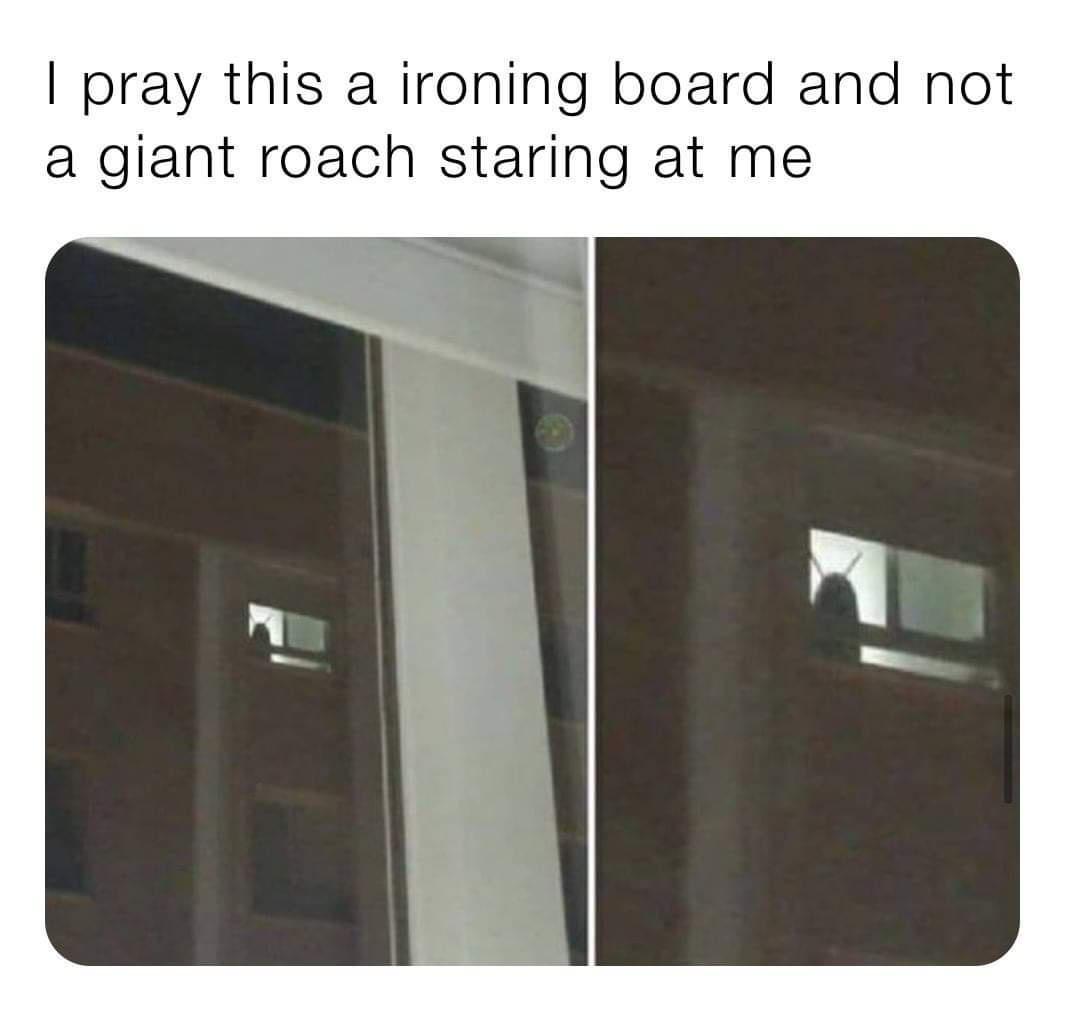 pray this a ironing board and not a giant roach staring at me