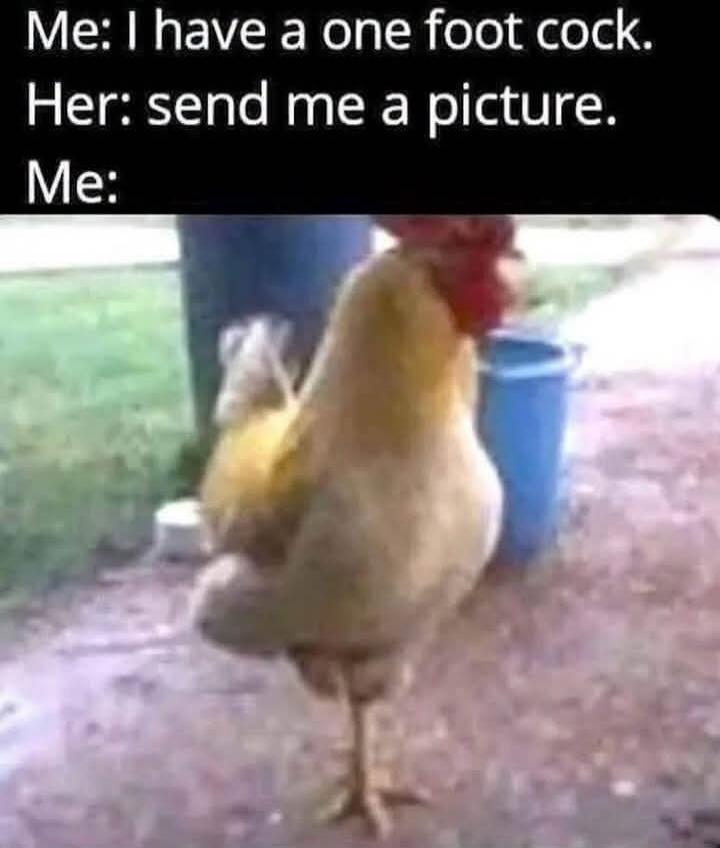 Me: I have a one foot cock. Her: send me a picture. Me: