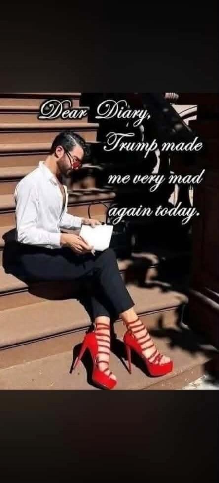 Dear Diary, Trump made me very mad again today.