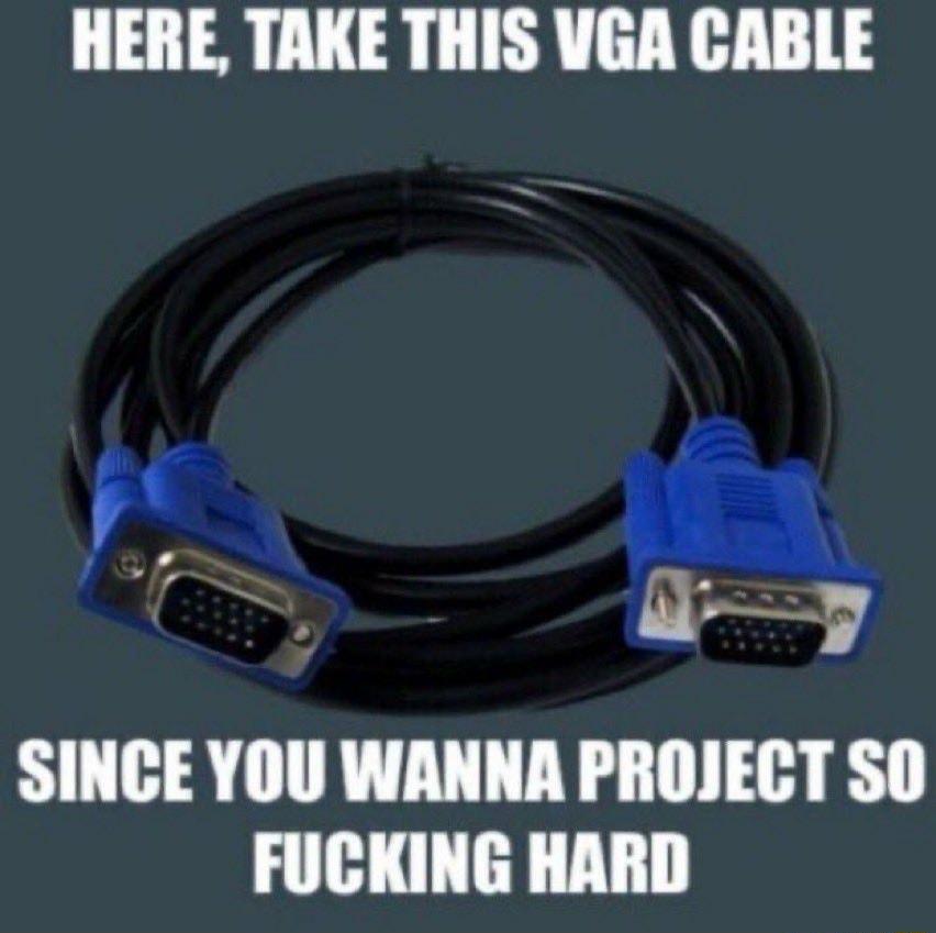 HERE TAKE THIS VGA CABLE N SINCE YOU WANNA PROJECT SO FUCKING HARD P