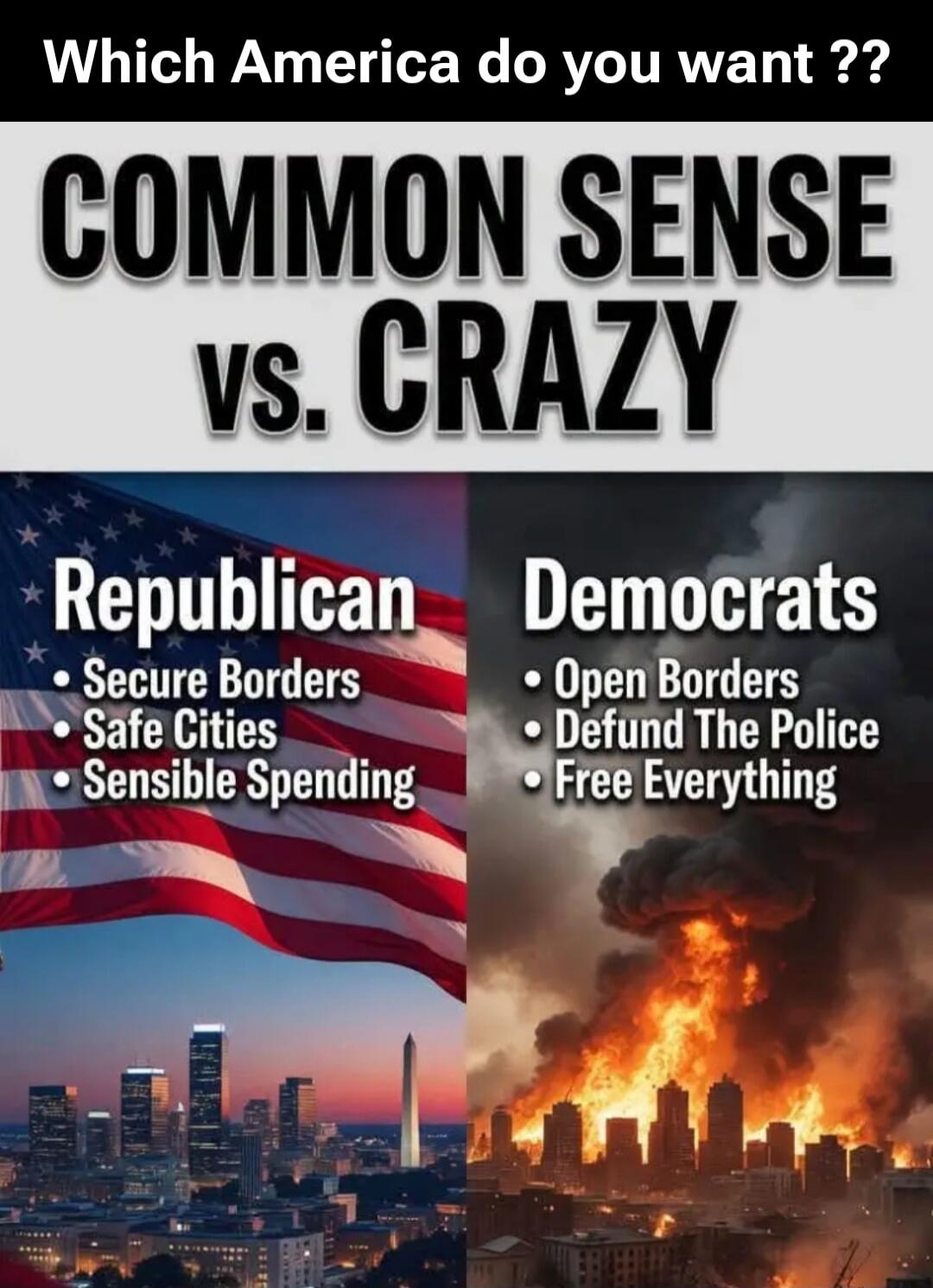 Which America do you want ?? COMMON SENSE vs. CRAZY Republican: Secure Borders, Safe Cities, Sensible Spending. Democrats: Open Borders, Defund The Police, Free Everything.
