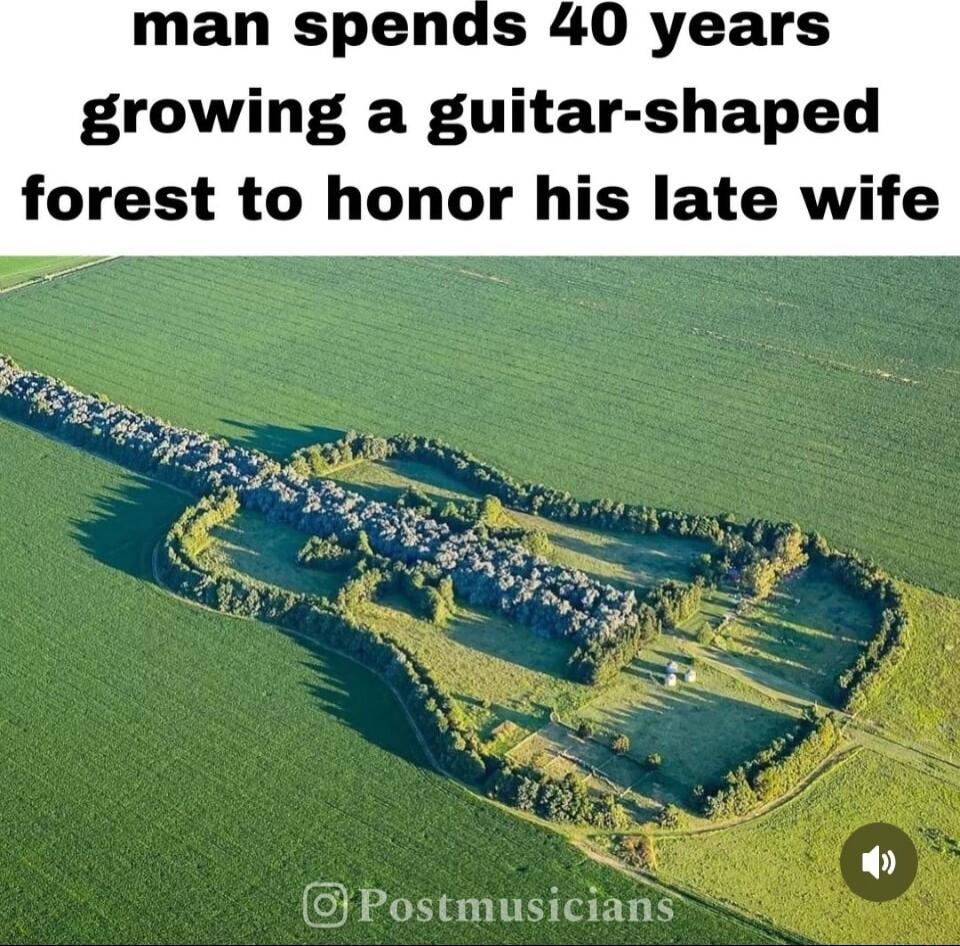 man spends 40 years growing a guitar shaped forest to honor his late wife