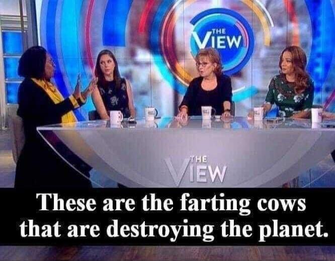 THE VIEW These are the farting cows that are destroying the planet.