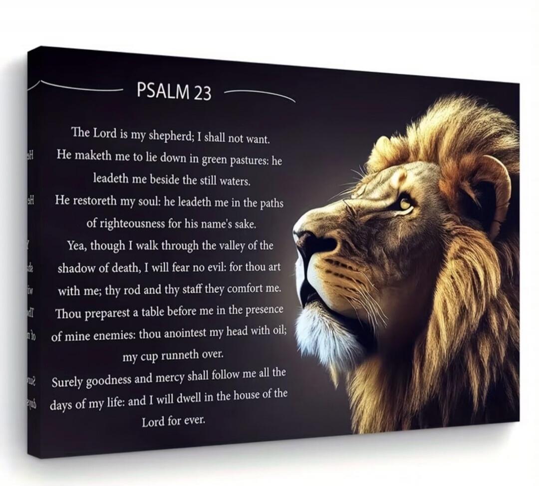 PSALM 23
The Lord is my shepherd; I shall not want.
He maketh me to lie down in green pastures: he leadeth me beside the still waters.
He restoreth my soul: he leadeth me in the paths of righteousness for his name's sake.
Yea, though I walk through the valley of the shadow of death, I will fear no evil: for thou art with me; thy rod and thy staff t